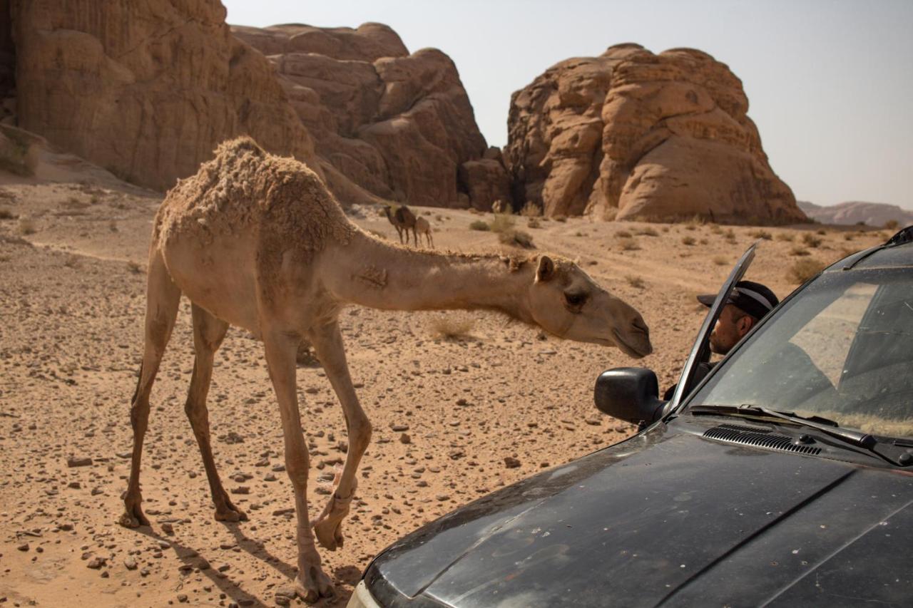 Wadi Rum Desert Home Εξωτερικό φωτογραφία